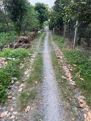 Bán nhà riêng thành phố Cao Lãnh, tỉnh Đồng Tháp
