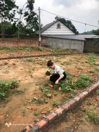 Chính chủ bán 2 lô đất đẹp – sổ đỏ riêng, giá tốt tại Tam Dương
