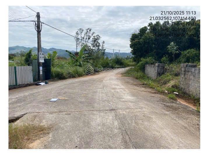 Bán đất tại td196, thôn chân đèo, thống nhất, hạ long, quảng ninh, 294,4m2 04885319