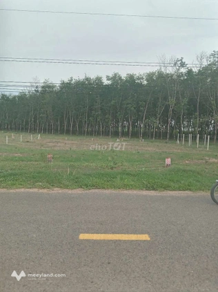 Bán đất thổ cư 144,8m2 tại 678 đường 4-4 xã Dương Minh Châu, Tây Ninh, 500 triệu