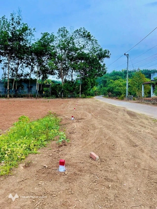 Đất đẹp Phú Riềng, giá chỉ 2,44 tỷ, diện tích 10m x 55m, 100m² thổ cư, đường bê tông rộng 9m