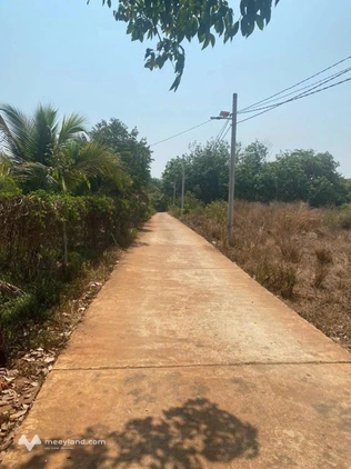 Đất Bình Tân, Phú Riềng mặt bê tông, dân cư xung quanh, cách ngã ba Bình Hiếu 3km