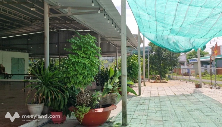 Cho thuê mặt bằng siêu rộng vị trí đẹp ngay ngã tư cầu Trường Long, Tây Ninh