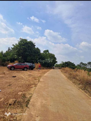 Bán đất 250m² giá chỉ 2,18 tỷ – Sổ sẵn – Cách chợ Bù Na 2,2km