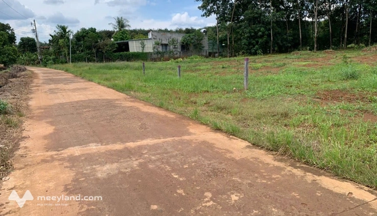 Đất Long Hà – Phú Riềng cần bán - Diện tích 5x55m (100m² thổ cư) - Giá 2,12 tỷ