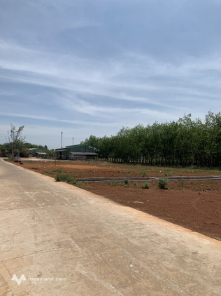 Đất nền 226m2 thổ cư sổ hồng riêng Long Hà Phú Riềng Bình Phước 2 tỷ 570 triệu