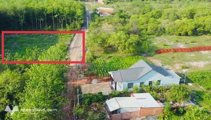 Nhà tôi kẹt tiền nên bán lô đất 300m2 (10x30), đã có sổ sẵn thổ cư, không dính quy hoạch tranh chấp với ai