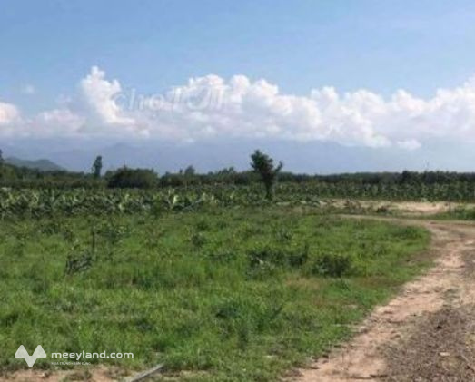 Đất nền giá rẻ ngay chợ Bù Nho, mặt tiền đường Nguyễn Văn Linh cách ĐT741 500m