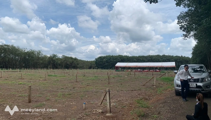 Đất Phú Riềng, Bình Phước - Giá chỉ từ 3,9 tỷ - 1000m2 - Đầy đủ tiện nghi - Sổ sẵn công chứng trong ngày