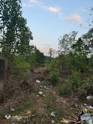 Hàng ngộp, bán đất Phú Riềng, Bình Phước, khu dân cư sầm uất, 1772,4m2 có 100m2 thổ cư