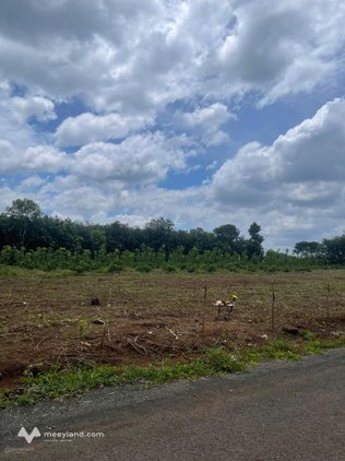 Hơn 3,3 tỷ sở hữu ngay 400m² đất, có 100m² thổ cư