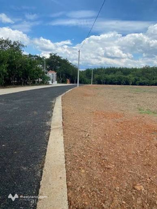 Đất sào phủ hồng có thổ cư - Mặt tiền nhựa lớn 32m - Cơ hội đầu tư