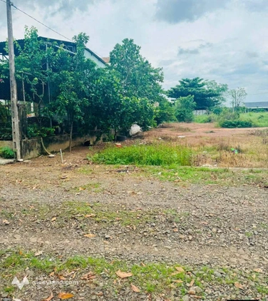 Cần bán đất xã Phú Riềng - huyện Phú Riềng - 152,3m²