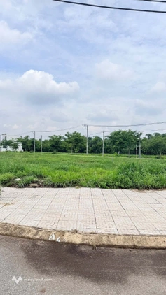 Cần bán lô đất giá cực kỳ rẻ tại Xã Long Bình, Phú Riềng, Bình Phước, diện tich 276.3m², vị trí đẹp đường nhựa thông