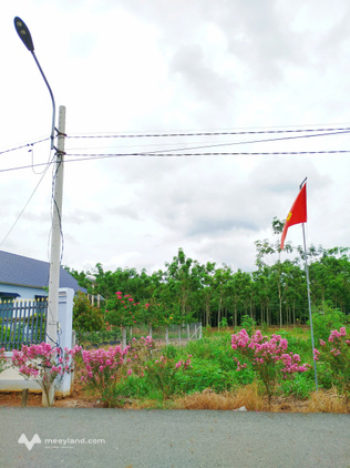 Sang gấp 566,1m2 giá 665 triệu, đường nhựa dân đông sổ riêng