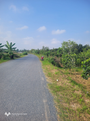 Đất mặt tiền phường Thành Phước, Bình Minh