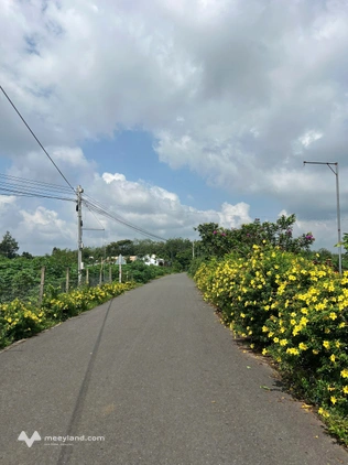 Đất thành phố Hồ Chí Minh - nhựa hiện hữu, 203m2, giá 550 , giấy tờ rõ ràng