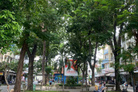 Bán đất tặng dãy trọ dòng tiền 10 triệu/tháng, gần công viên Nguyễn Sỹ Sách, Phường 15, Tân Bình