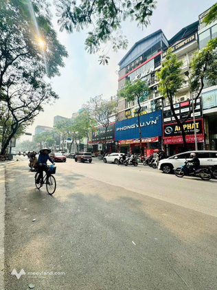 Mặt phố Thái Hà 205m2, 6 tầng thang máy, mặt tiền 6m, dòng tiền 300 triệu/tháng