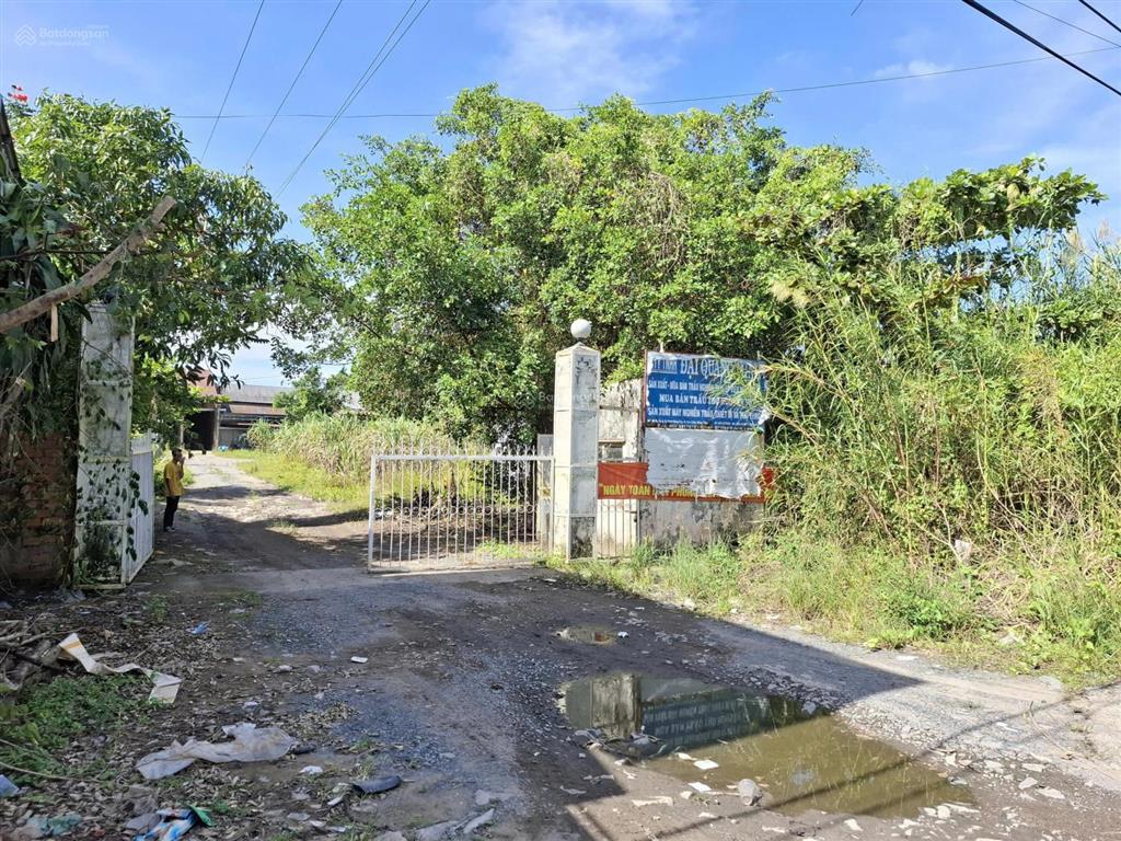 Chính chủ chuyển nhượng lô đất 5.269m² ql30, bình hàng tây, cao lãnh, đồng tháp