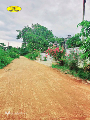Đất Định Sơn, Cam Nghĩa, vị trí đắc địa, đường ô tô rộng thoáng