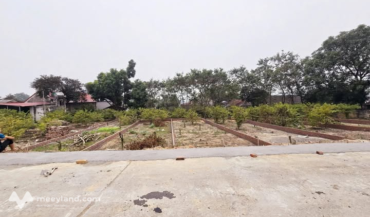 Đất F0 Đại Đình, Tam Đảo: Vị trí đẹp, giá yêu thương cho nhà đầu tư