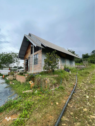 Đất nghỉ dưỡng view đẹp tại Đa Sar, Lạc Dương, Lâm Đồng