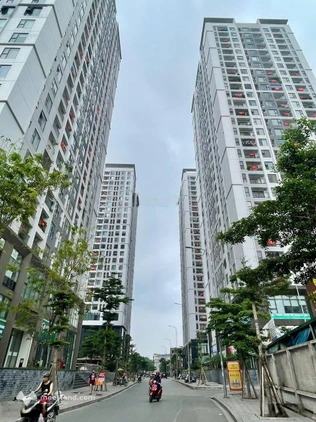 Cho thuê sàn TM chung cư Rose Town 79 Ngọc Hồi, HM 220m2 38 tr, đủ trần sàn sạch sẽ, lô góc