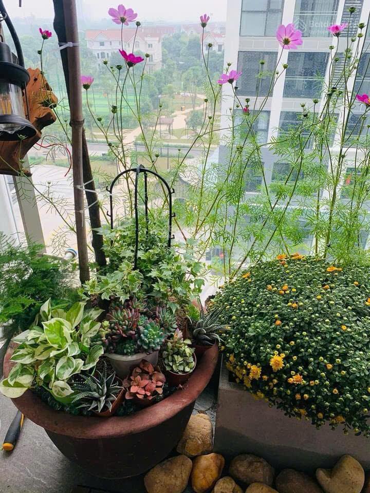 Gia đình không có khả năng tất toán ngân hàng cần bán gấp căn góc cc s= 75m2 tại vinhomes symphony