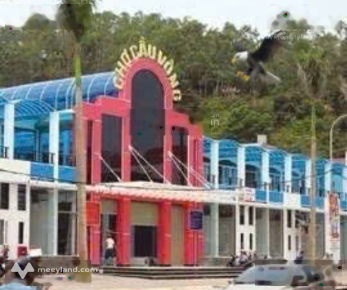 Chỉ cần 3 triệu/th, thuê 163m2 mặt bằng gần chợ Cầu Vồng nơi buôn bán sầm uất tại Đồ Sơn Hải Phòng