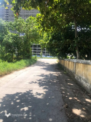 Đất kiệt Hoàng Quốc Việt, sau uỷ ban phường An Cựu, thành phố Huế