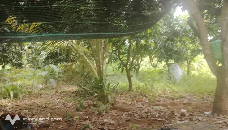 Chào mừng quý khách đến với mảnh đất đầy tiềm năng tại thành phố Cao Lãnh