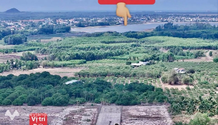 Sốc đất nền 2200m2 phủ hồng tại Phước Tân, giá chỉ 3,6 tỷ