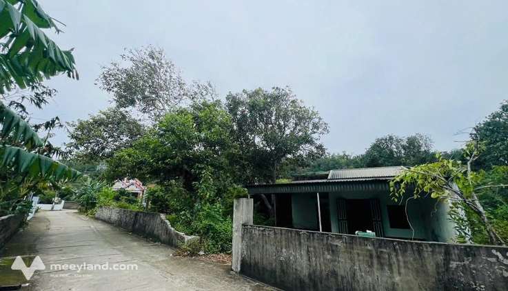 Sở hữu ngay 781m2 đất vàng Cô Tô, xây khách sạn hốt bạc