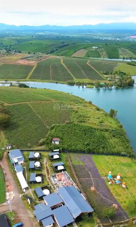 1000m2 đất có 400m đất ở gần hồ cánh bướm và olala glamping bằng phẳng nở hậu xã bảo lâm 1 lâm đồng