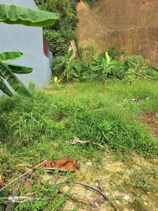 Đất đẹp chân dài miên man tại trung tâm Yên Bái, ngõ ô tô tránh