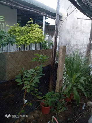 Sốc nhiệt với nhà vườn Ninh Chữ, giá rẻ như cho, nhanh tay kẻo lỡ