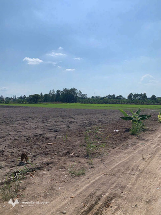 Lô đất vườn 1000m2 tại xã Phú Hòa, An Giang, giá chỉ 600 triệu