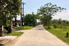 Đất mặt tiền Dạ Lê Chánh, thành phố Huế, view hồ sen, giá chỉ 1,4 tỷ