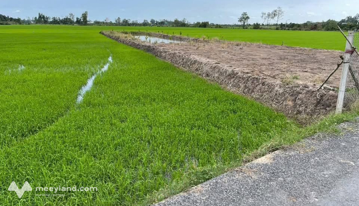 Sở hữu ngay 1900m2 đất mặt tiền đường nhựa tại Lấp Vò, Đồng Tháp