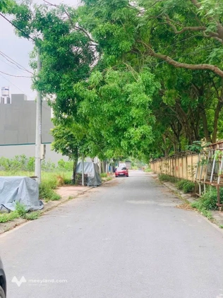 Đất tiềm năng 100m2 tại Băng 2 Đội Cấn, Tam Phúc, Vĩnh Tường