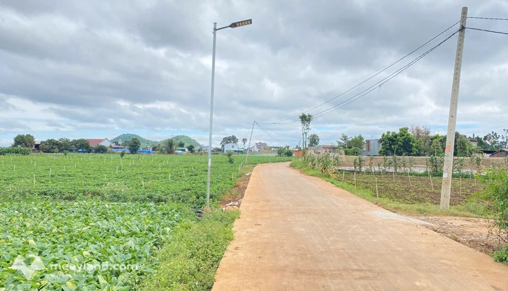 Đất Phú Hội cũ, Đức Trọng, Lâm Đồng, gần gara ô tô lương thành quốc
