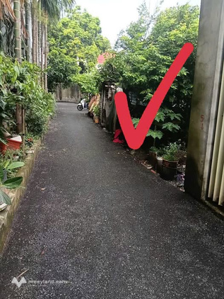 Đất nền Hòa Xá, Ứng Hòa - Vị trí đắc địa, giá tốt bất ngờ