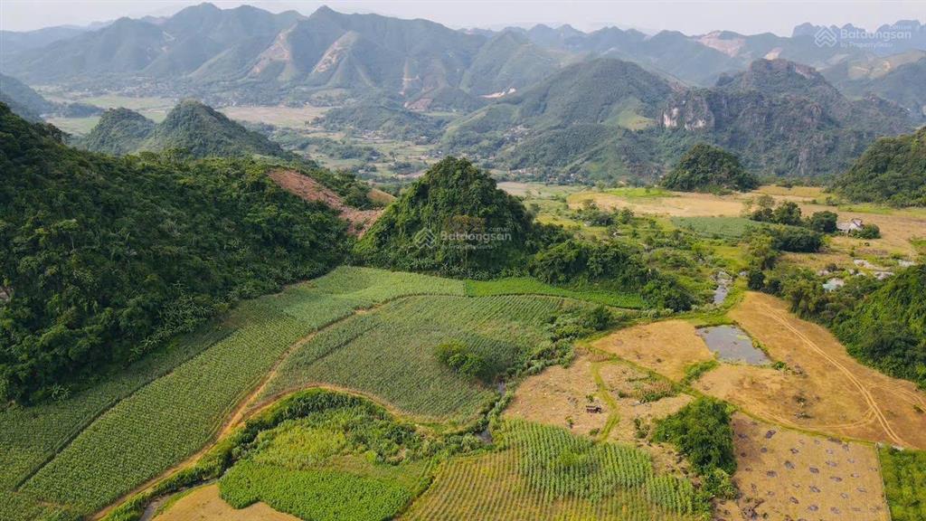 Bán lô đất view cực đẹp bám suối, view cánh đồng tại kim bôi, hòa bình