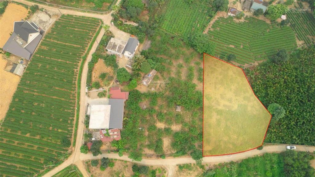 Chỉ hơn 2 triệu/m sở hữu ngay lô đất view hồ tại an nghĩa, phú thọ