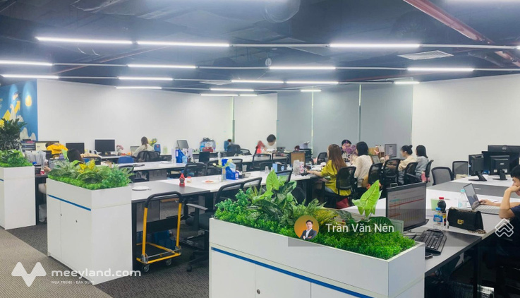 Chính chủ cho thuê văn phòng 250m2 full nội thất tại Ngọc Khánh Plaza - Giảng Võ, giá chỉ 295k/m2