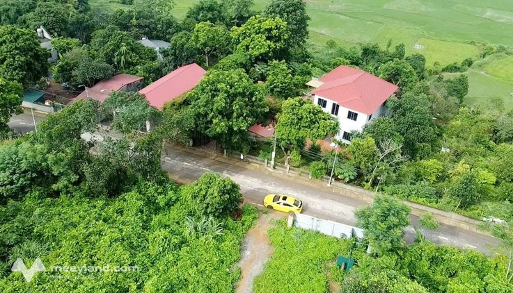 Đất vàng Lương Sơn 1.,500m² bám đường nhựa, container né cái vèo