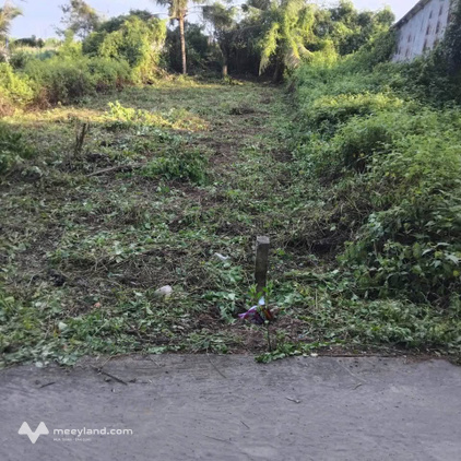 Đất giá rẻ tại Giồng Me, Bạc Liêu, hướng Đông Nam mát mẻ