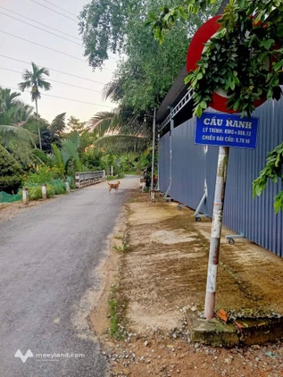 Cần bán gấp lô đất tại xã An Khánh, huyện Châu Thành, tỉnh Bến Tre