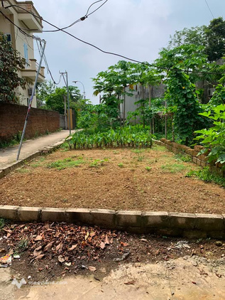 Bán lô góc 55m2 tại Đồng Mít, Phúc Sơn, Ứng Hòa, Hà Nội